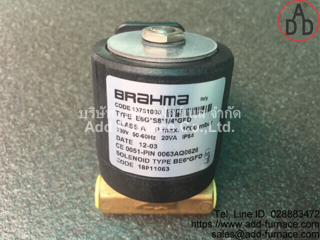 BRAHMA TYPE E6G*S8*1/4*GFD(1)